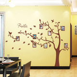棕色照片树新款墙贴客厅卧室可移除组合相框树贴纸贴画墙壁纸包邮