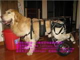 狗轮椅/宠物轮椅/大型犬用轮椅/犬用残疾车/瘫痪狗代步车/大狗车
