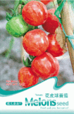 蔬果种子 花皮球番茄种子 彩包蔬果种子20粒 春秋冬播种 90天收获