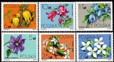 波兰邮票1984年 藤本植物  6全