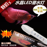 鱼缸LED龙鱼水晶灯 金龙鱼灯鱼缸水陆潜水灯红龙鱼鹦鹉鱼水中灯