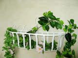 室内铁艺花架 壁挂式绿萝花盆架 多功能创意收纳架 悬挂宜家盆栽