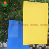 粘虫板黄板 悬挂式进口双面胶 PVC塑料黄色诱虫板 环保无公害杀虫