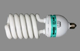 金贝 三基色灯泡 E27型 105W 摄影灯泡 （色温：5500K）