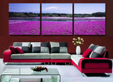 客厅三联沙发墙挂画|卧室餐厅花卉壁画|装饰画无框画|紫海