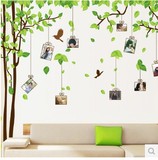 包邮 记忆相框树超大型相片墙贴照片 卧室客厅沙发电视墙背景贴纸