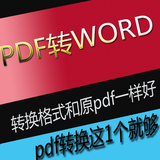 专业pdf转word转换软件pdf converter可编辑文字识别准确排版漂亮