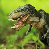 PAPO恐龙模型玩具正品专卖侏罗纪公园行走姿态TREX暴龙霸王龙