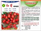 蔬菜种子 红箭樱桃番茄种子（0.2g装）广东省农科院选育 红圣女果