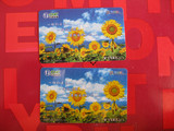 电话卡收藏：中国网通手机伴侣卡 向日葵 旧卡单枚套卡 实拍图片