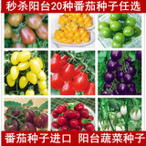 蔬果番茄种子樱桃小番茄黄红圣女果阳台庭院四季播种蔬菜种子水果