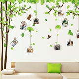 超大创意照片墙贴相框贴画客厅卧室温馨墙壁贴纸儿童房墙画相片树