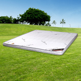 爱绿居 3D摩维0甲醛天然椰棕床垫 1.5/1.8米椰棕垫 9厘米厚床垫