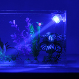 吉印LED鱼缸小夜灯水族箱潜水灯装饰迷你小射灯夜明珠1W节能多色