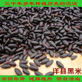 洋县黑米 农家有机黑米杂粮 健康养生佳品黑米 陕西特产优质黑米