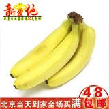 新鲜水果 海南特产 香蕉 甘甜味美500克三根左右 北京满50元包邮