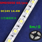 5050单色灯带 DC24v 14.4W 滴胶防水 白色 LED灯带