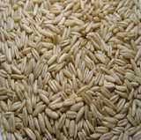 大麦种子 燕麦种子油菜籽种子甜苦荞麦种子小麦种子苦荞黄豆种子