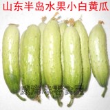5斤包邮山东烟台海阳农产品新鲜白黄瓜东北旱黄瓜水果零食250克