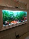 欧式画框挂壁式鱼缸、壁挂式生态水族箱、壁挂鱼缸 生态鱼缸