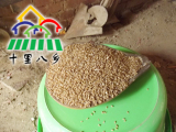 2015 河南农家自种有机新小麦 带皮小麦粒 种子 小麦芽 豆浆专用