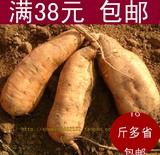 10斤包邮山东威海特产黄心新鲜蜂蜜罐生地瓜红薯山芋番薯农家自产