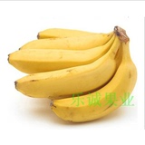 香蕉纯天然banana广东芝麻香蕉自然成熟原生态新鲜水果特价