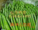 寿光特产 进口有机芦笋种子 十大名菜之一 蔬菜之王 正品 50粒