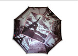 韩国埃菲尔铁塔油画/油画长柄弯钩雨伞/拱形大伞/自动礼品伞