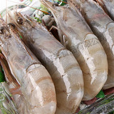 南美白虾 冻虾 龙虾  进口海鲜