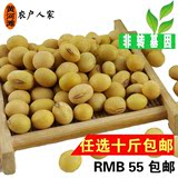 2015新货山东特产黄豆 农家自种发豆芽非转基因有机大豆种子500g