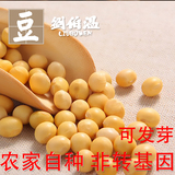 黄豆新货特产农家自种有机非转基因纯天然发豆芽精选五谷杂粮豆浆