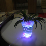 包邮LED七彩遥控发光花瓶透明水培植物器皿温馨小夜灯景观吧台灯