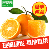 【誉福园】新鲜水果橙子 秭归伦晚脐橙8斤 送2斤顺丰包邮 发10斤
