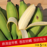 皇帝蕉帝王蕉香蕉小米蕉芝麻蕉自然熟现摘 麻涌新鲜水果 5斤包邮