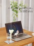 日本代购现货BRUNO办公室用小鸟造型超音波USB可爱小鸡迷你加湿器