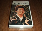 山口百惠主演 《野菊の墓》 野菊之墓   全新日本原版VHS录像带