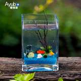 方形玻璃鱼缸创意迷你小金鱼缸斗鱼缸办公室桌面生态鱼缸藻球缸