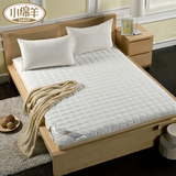 小绵羊 全棉抗菌透气护床垫 夏天薄床褥子 防滑垫被1.2米1.5m1.8