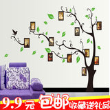 包邮 照片树相框装饰墙贴纸相片树客厅卧室沙发儿童房背景墙墙纸