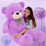 布娃娃可爱大号毛绒玩具泰迪熊 抱抱熊大熊生日礼物女孩熊猫 公仔