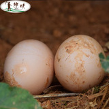 新鲜土鸡蛋代购农家纯天然散养草鸡蛋正宗有机孕妇老人放养宝宝蛋