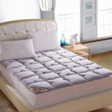 保暖床垫 床褥 经济型0.9 1.2 1.5 1.8m床 中等厚度 学生薄软褥子