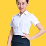 老款中国移动 女 夏装半袖工作服正装工装大码衬衣蓝白条短袖衬衫