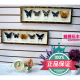 蝴蝶标本装饰画现代简约浮雕立体画客厅卧室餐厅走廊壁画沙发挂画