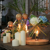邦镇灯泡实木玻璃罩台灯美式咖啡厅花瓶装饰灯摆件灯