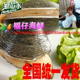 紫石房蛤 【鲜活】生猛的海螺天鹅蛋 紫石房蛤 大蛤蜊 4~5个/斤