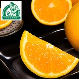 麻阳水果新鲜冰糖橙提供橙子苗盆栽橘子树苗农家苗木批发树苗橙3
