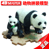 正品4D Master母子大熊猫拼装模型仿真动物玩偶儿童益智组装玩具