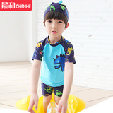 包邮 2-12岁 人气鲨鱼 韩版男童宝宝儿童平角分体泳衣 送配套泳帽
